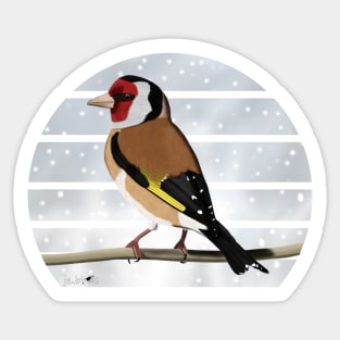 Goldfinch Winter Snow Bird Watching Birding Ornithologist Gift Sticker